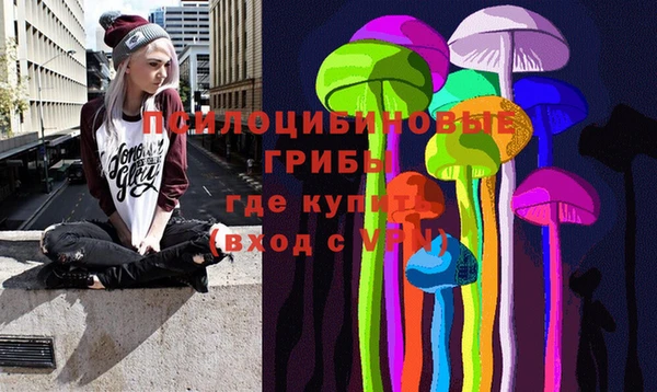 мяу мяу мука Каменка