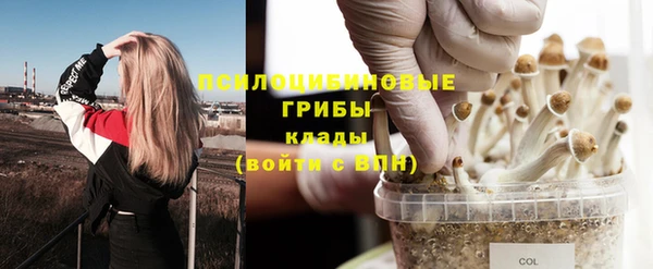 круглые Каменногорск