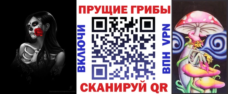 Купить закладки Баймак Псилоцибиновые грибы GOLDEN TEACHER